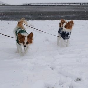 Meet your Posher, Denise